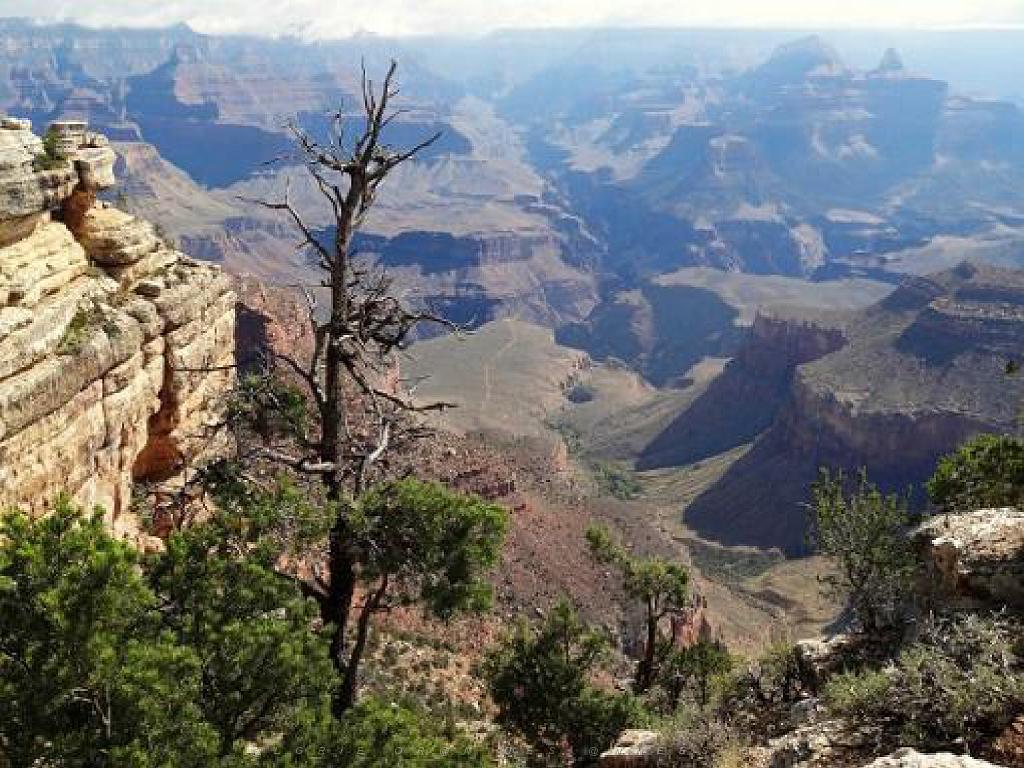 107  USA LE GRAND CANYON 2005_000044.jpg